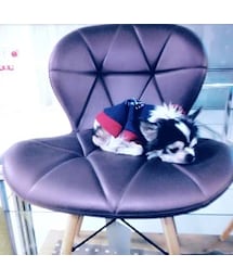 Tシャツ/カットソー