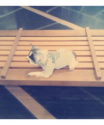 タイツ/ストッキング