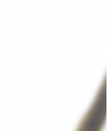 WEGO | シャツ/ブラウス