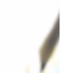 NICE CLAUP | パンプス