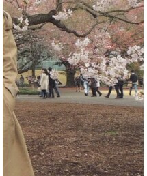 ANAP | Tシャツ/カットソー