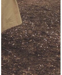 adidas Originals | スニーカー