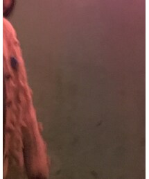 used | ジャケット/アウター