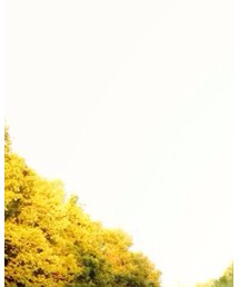 チャリンコおじさん‼︎ | その他