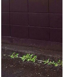 借り物おじさん‼︎ | その他