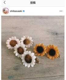 Chaco | イヤリング