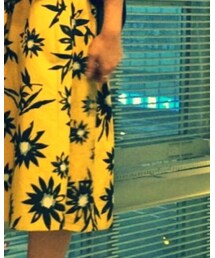 JEANASIS | スカート