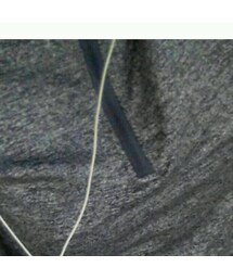 FOREVER 21 | トップス