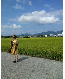 稲穂と私 | その他