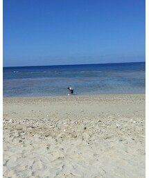 海！ | その他