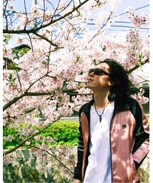 2017さくら② | その他