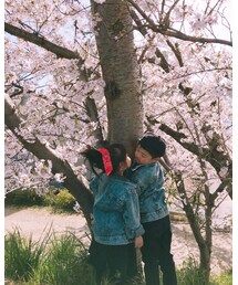 お花見🌸 | その他