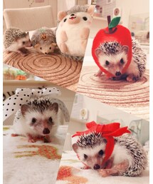 癒し♡ | その他