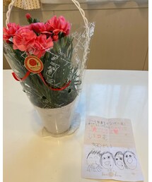 💐 | その他