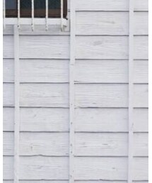 CASIO | アナログ腕時計