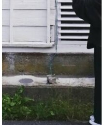 JOURNAL STANDARD | スラックス