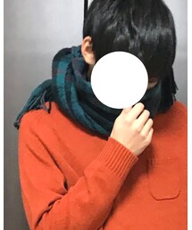 present | マフラー