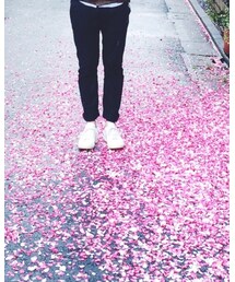 COMMON PROJECTS | スニーカー
