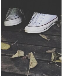 CONVERSE | スニーカー