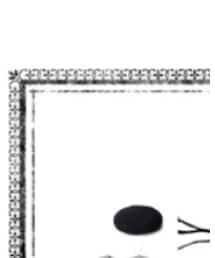 ✅Instagram | その他