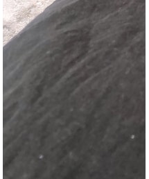 HOTPING | Tシャツ/カットソー