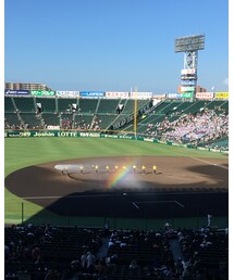 夏の甲子園 | その他