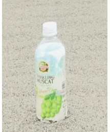 ヨーグルトマスカット味 | その他