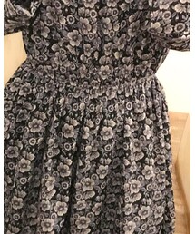 anemone | ワンピース