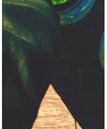 nonnative | その他パンツ