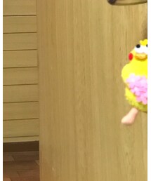 変なヒヨコ | アクセサリー