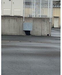 A-COLD-WALL* | スウェット