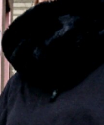 しまむら | マフラー