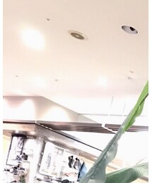 WILLSELECTION | ニット/セーター