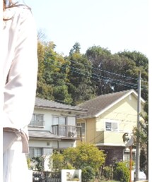 WILLSELECTION | スカート