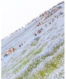 Maison de FLEUR | かごバッグ