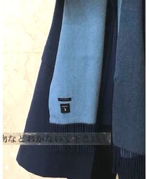 TOMORROWLAND  | マフラー