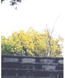 FR2 | ショルダーバッグ