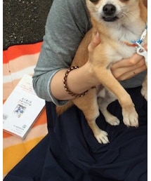 MEGAN PARK | ブレスレット