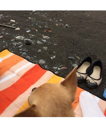 HUNTER | パンプス(パンプス)