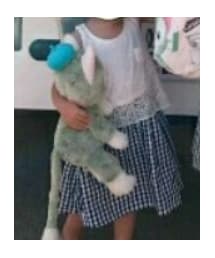 GLOBAL WORK | ワンピース