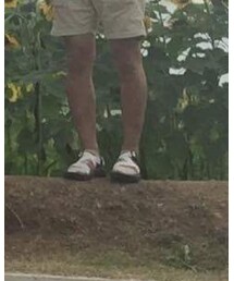 anapau | ソックス/靴下