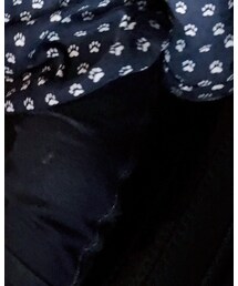 babyGAP | ママ＆ベビー