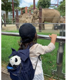 ゾウ♡ | その他