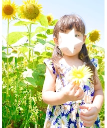 ひまわり♡ | その他