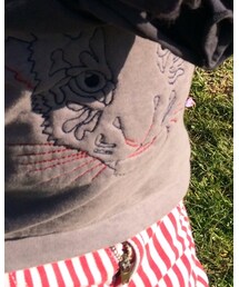 ZARA KIDS | スウェット