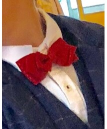 Handmade | 蝶ネクタイ