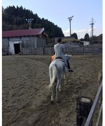 キャップ乗馬 | トップス