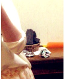 炭 | インテリア