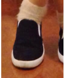 tutuanna | ソックス/靴下