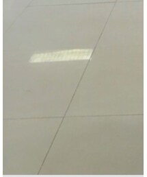 NIKE SB | スニーカー